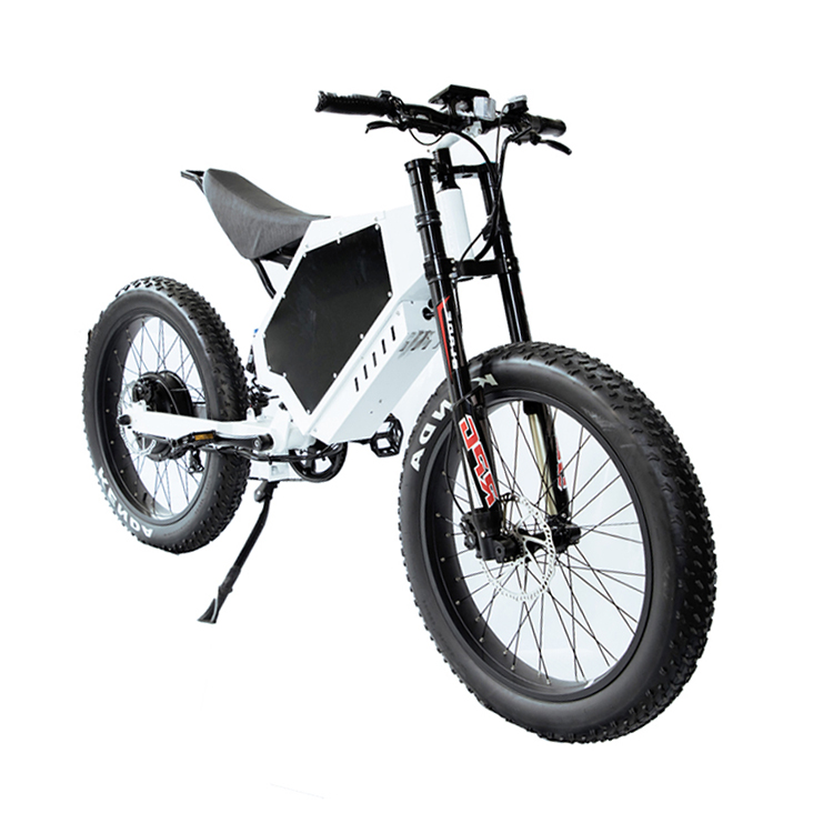 Гоночный мотоцикл Dongdian Electric Bike Dd-01 Гоночный мотоцикл Dongdian Electric Bike Dd-01