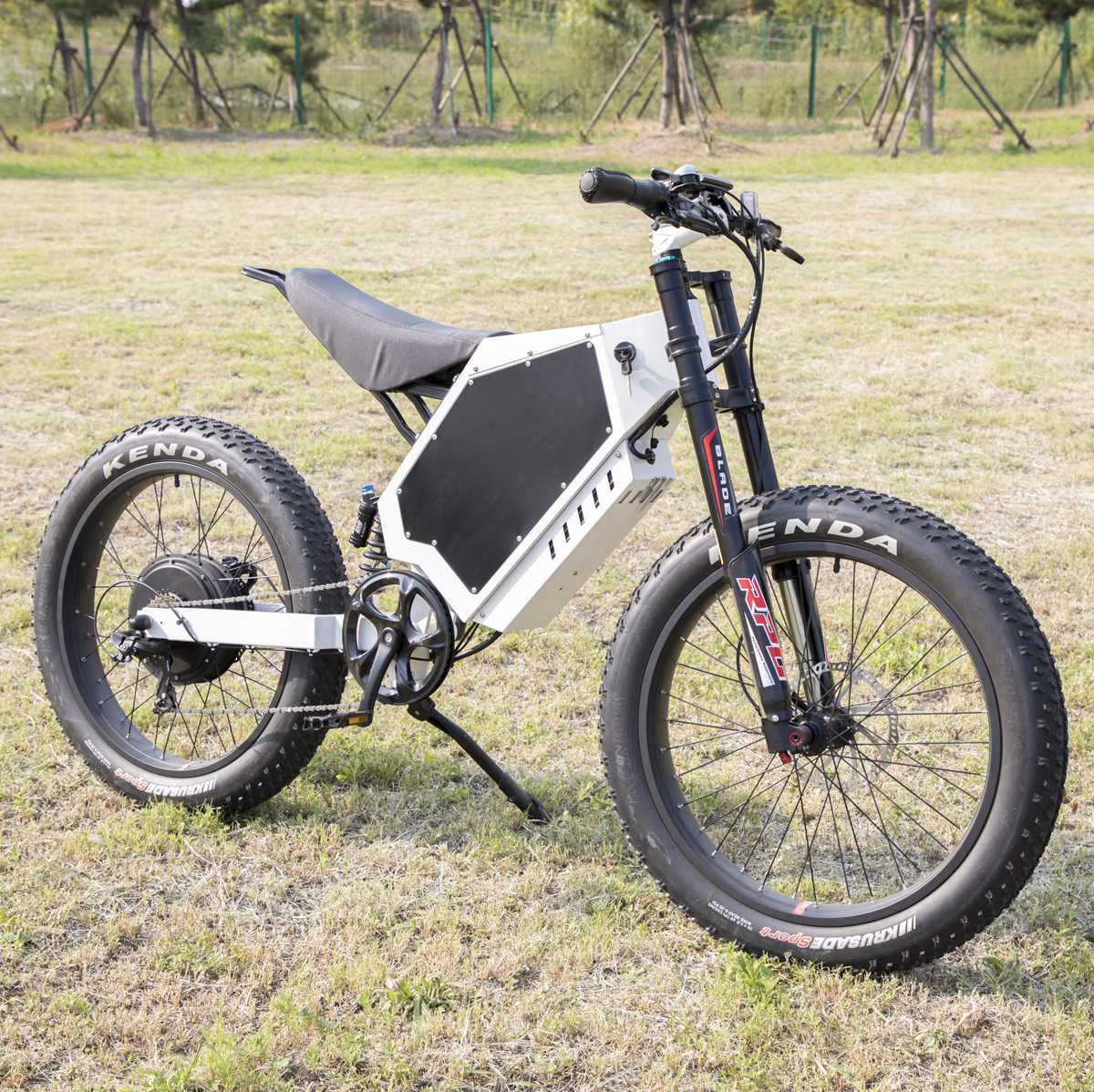 Гоночный мотоцикл Dongdian Electric Bike Dd-01 Гоночный мотоцикл Dongdian Electric Bike Dd-01